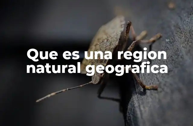 Que es una Region Natural Geografica