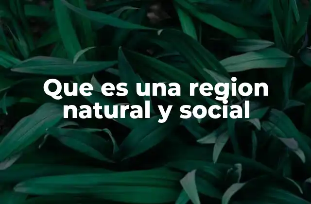 Que es una Region Natural y Social