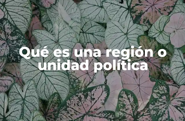 La organización territorial y la importancia de las regiones políticas
