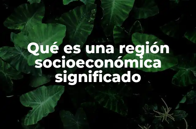 Qué es una Región Socioeconómica Significado