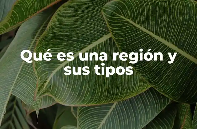 Qué es una Región y Sus Tipos 2 Cómo se clasifican las regiones según su naturaleza y características