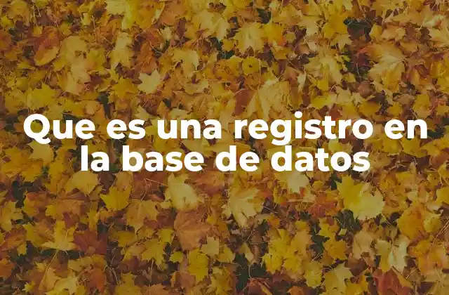 Que es una Registro en la Base de Datos