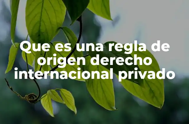 Que es una Regla de Origen Derecho Internacional Privado