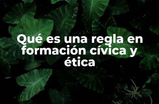 Qué es una Regla en Formación Cívica y Ética