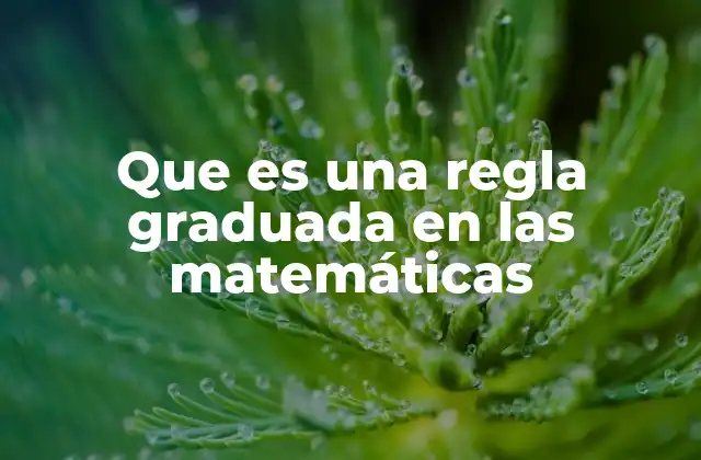 Que es una Regla Graduada en las Matemáticas 2 La importancia de las herramientas de medición en la enseñanza matemática