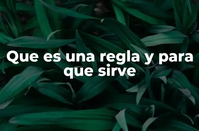Que es una Regla y para que Sirve