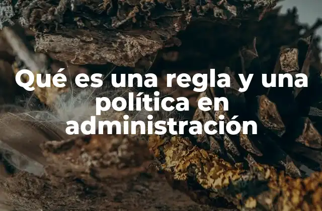 Qué es una Regla y una Política en Administración