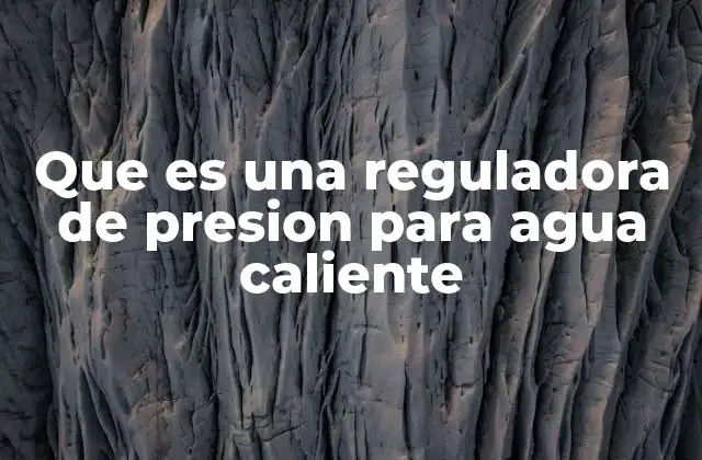 Que es una Reguladora de Presion para Agua Caliente