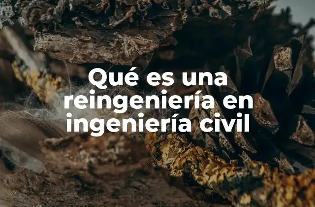 Qué es una Reingeniería en Ingeniería Civil