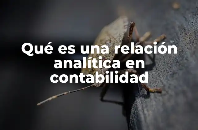 La importancia de las relaciones analíticas en la gestión contable