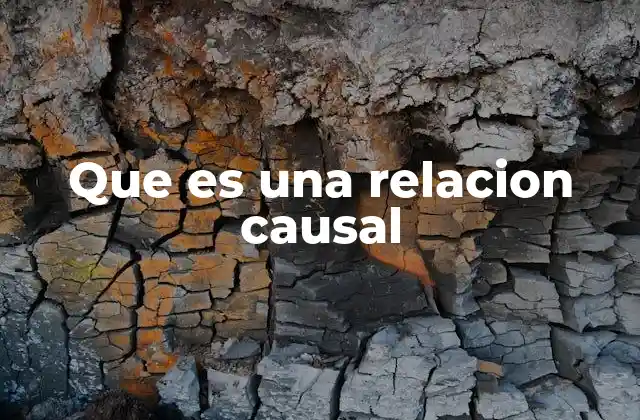 Que es una Relacion Causal