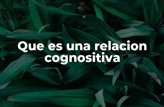 Que es una Relacion Cognositiva