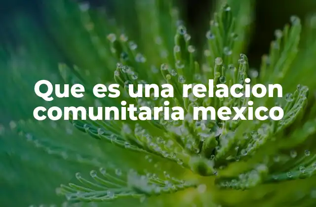 Que es una Relacion Comunitaria Mexico