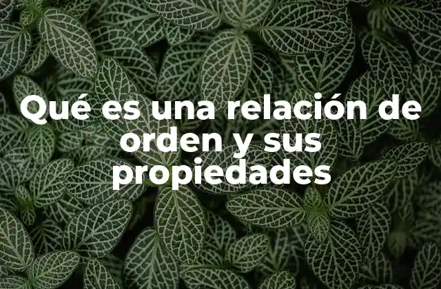 Qué es una Relación de Orden y Sus Propiedades