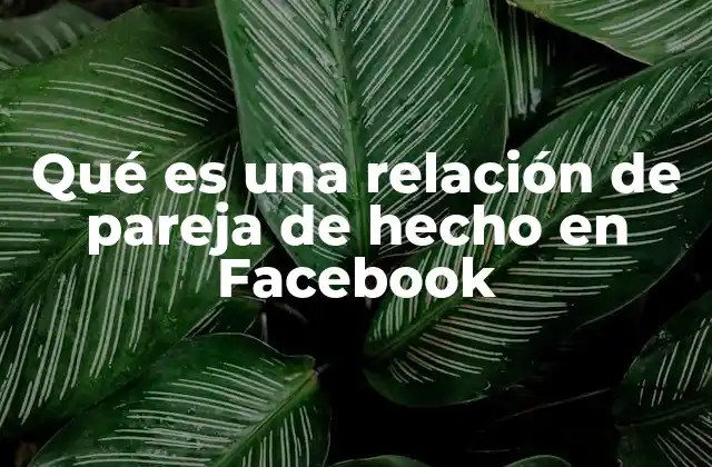 Qué es una Relación de Pareja de Hecho en Facebook