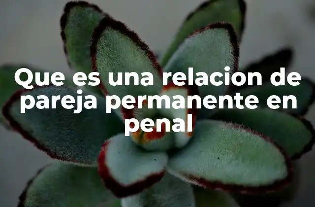 Que es una Relacion de Pareja Permanente en Penal