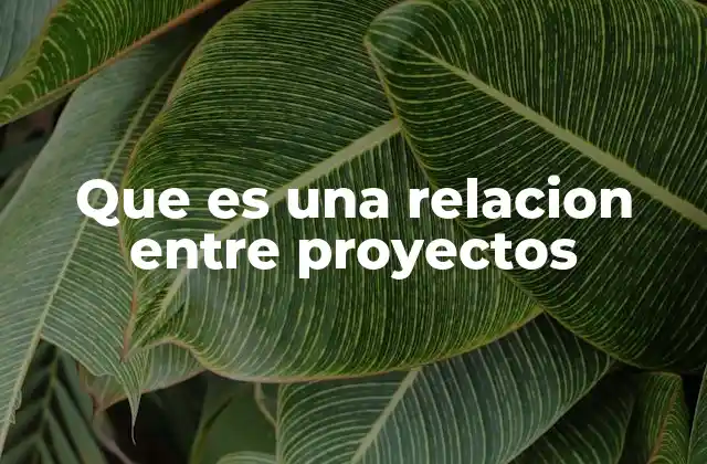 Que es una Relacion entre Proyectos