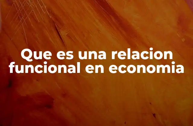 Que es una Relacion Funcional en Economia
