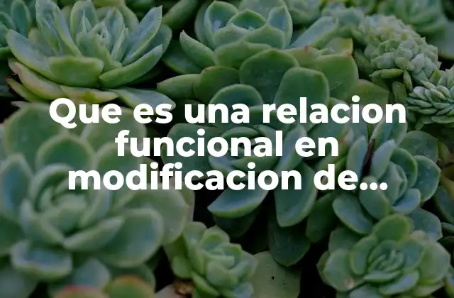 El rol de las variables en el análisis funcional