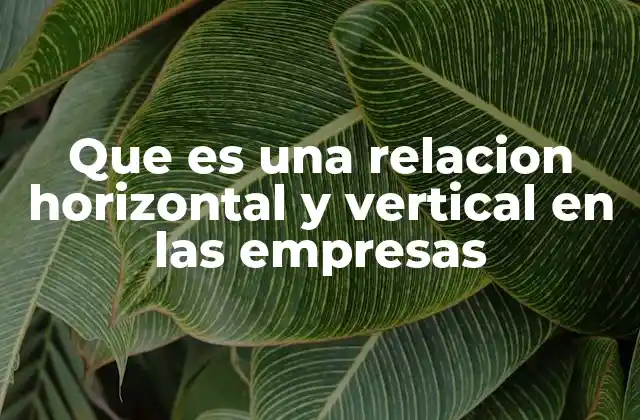 Que es una Relacion Horizontal y Vertical en las Empresas