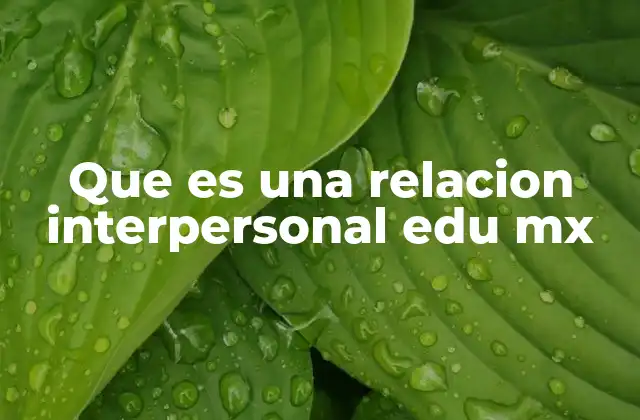 Que es una Relacion Interpersonal Edu Mx