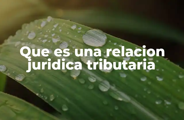 Que es una Relacion Juridica Tributaria 2 El papel del Estado en la relación tributaria