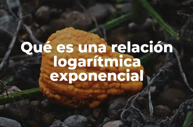 Qué es una Relación Logarítmica Exponencial 2 La interacción entre crecimiento y decrecimiento en las funciones logarítmicas exponenciales
