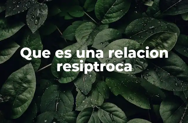 Que es una Relacion Resiptroca
