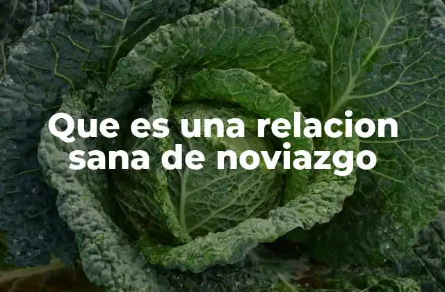 Que es una Relacion Sana de Noviazgo