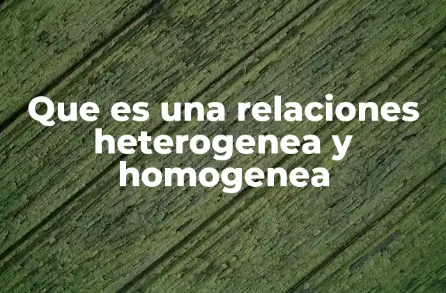 Que es una Relaciones Heterogenea y Homogenea