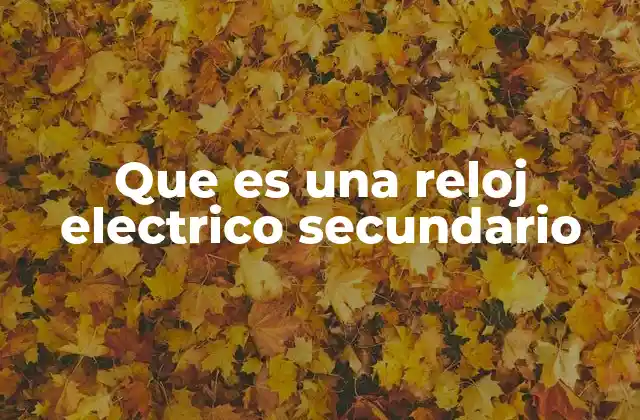 Que es una Reloj Electrico Secundario