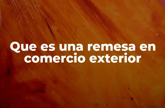 Que es una Remesa en Comercio Exterior