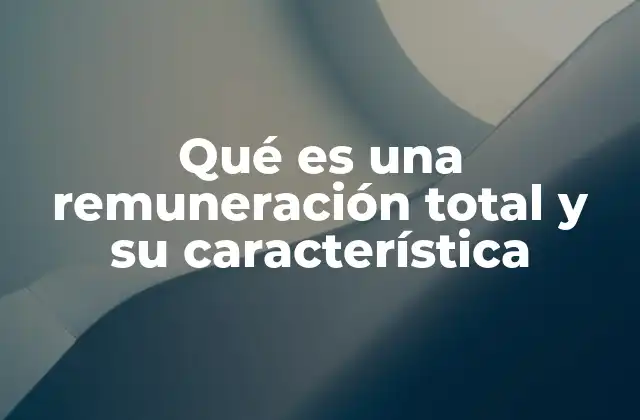 Qué es una Remuneración Total y Su Característica