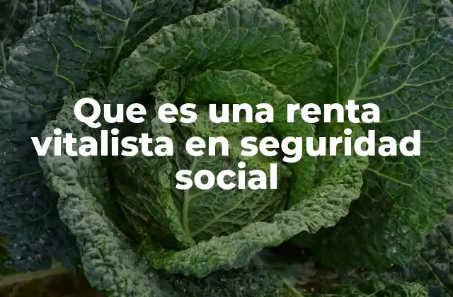 Que es una Renta Vitalista en Seguridad Social