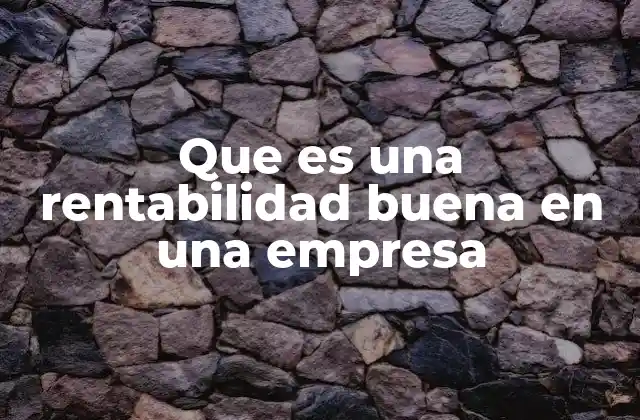 Que es una Rentabilidad Buena en una Empresa