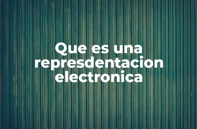 Que es una Represdentacion Electronica