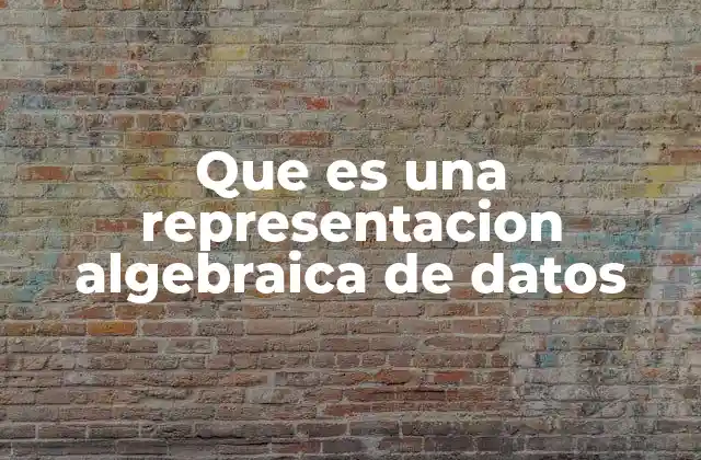 Que es una Representacion Algebraica de Datos
