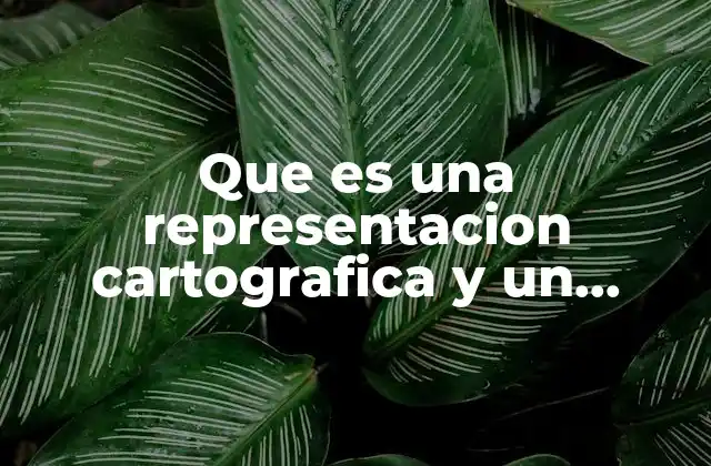 Que es una Representacion Cartografica y un Ejemplo