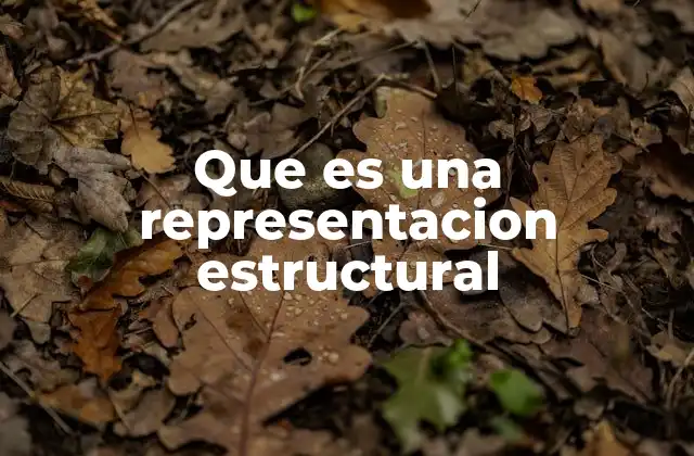 Que es una Representacion Estructural