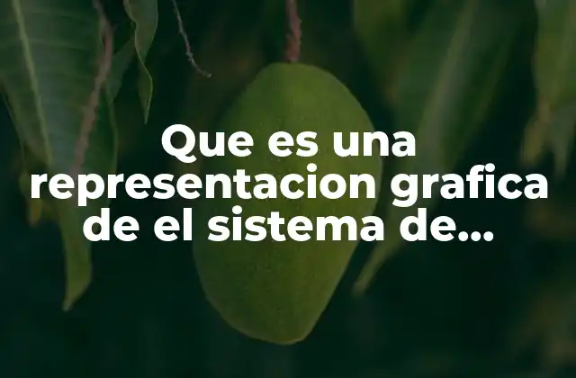 Que es una Representacion Grafica de el Sistema de Ecuaciones