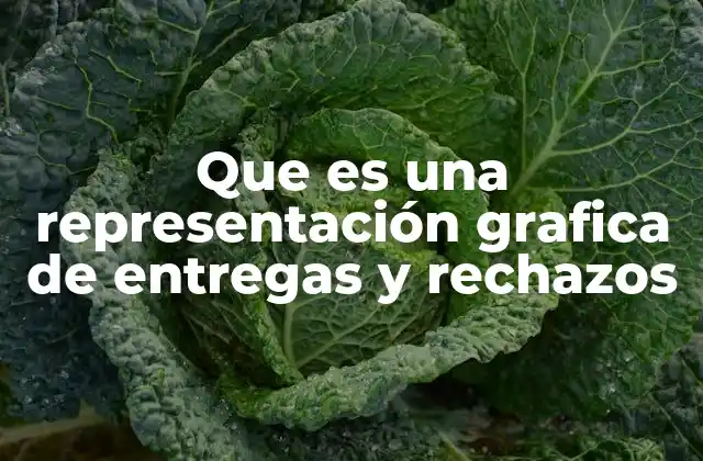 Que es una Representación Grafica de Entregas y Rechazos