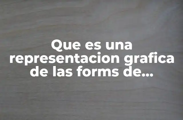 Que es una Representacion Grafica de las Forms de Lenguaje