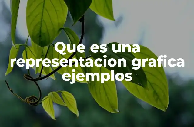 Que es una Representacion Grafica Ejemplos