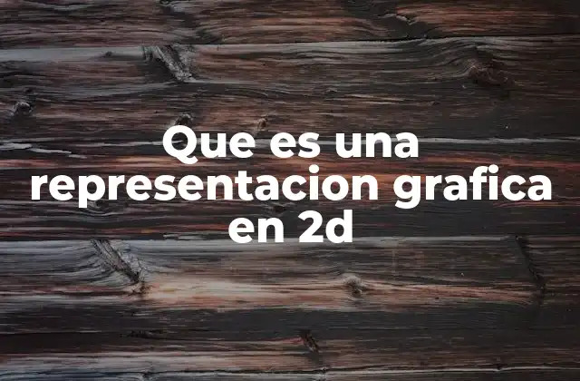 Que es una Representacion Grafica en 2d
