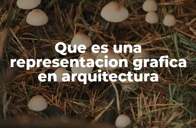 Que es una Representacion Grafica en Arquitectura