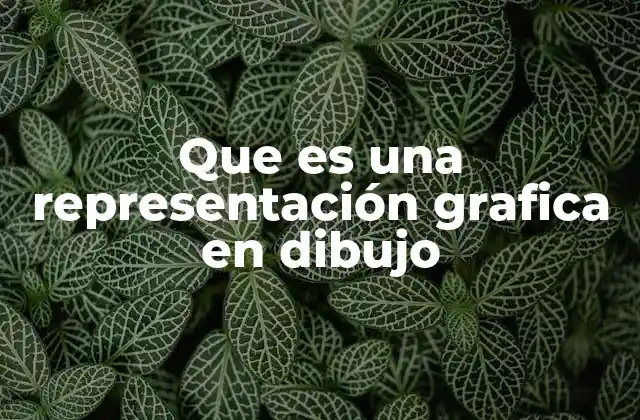 Que es una Representación Grafica en Dibujo