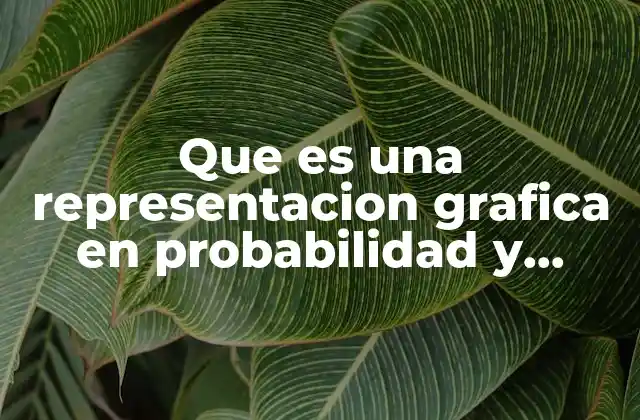 Que es una Representacion Grafica en Probabilidad y Estadistica