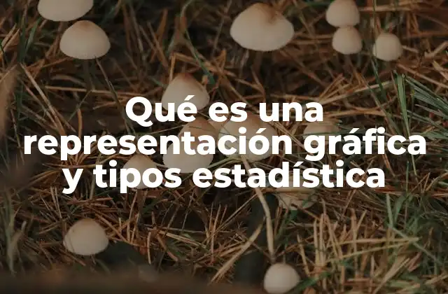 Qué es una Representación Gráfica y Tipos Estadística 2 La importancia de visualizar datos estadísticos
