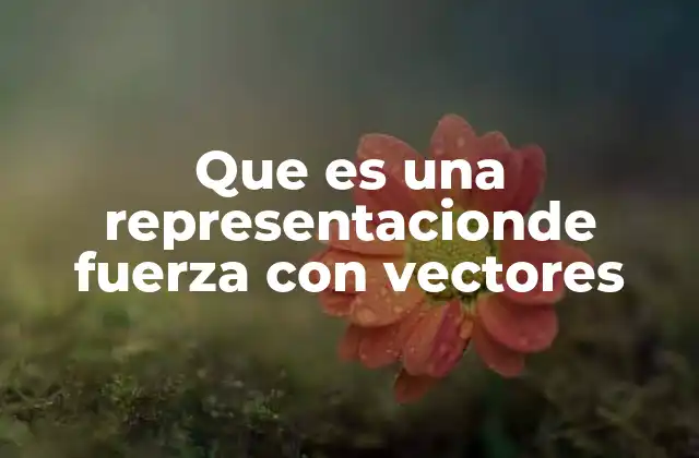 Que es una Representacionde Fuerza con Vectores