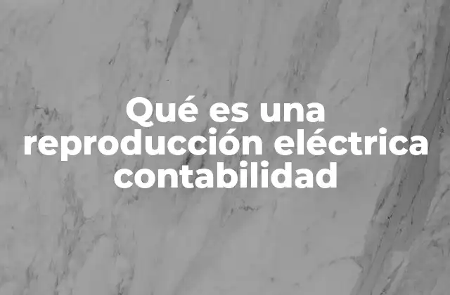 Qué es una Reproducción Eléctrica Contabilidad